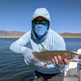 Wild Fly Anglers - Rainbow Trout - Fishing Near Me Wild Fly Anglers - Rainbow Trout - Fishing Near Me