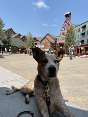 Keystone Resort by null