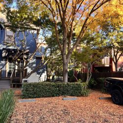 The Napa Inn & Spa - The back parking lot