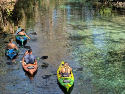 Silver Springs State Park by null