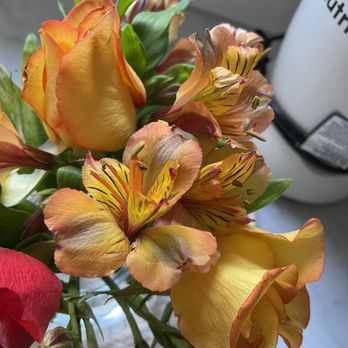 My Bella Flower - Florists Near Me - Los Angeles, California My Bella Flower - Florists Near Me - Los Angeles, California