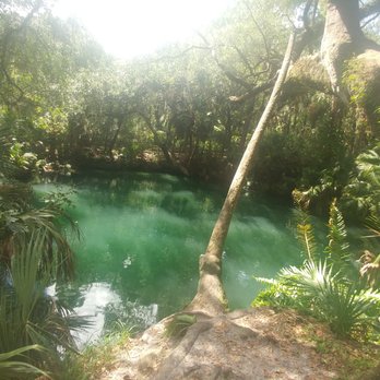 Green Springs Park - Hiking Near Me - Deltona, Florida