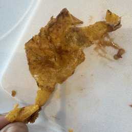 a piece of chicken a piece of chicken
