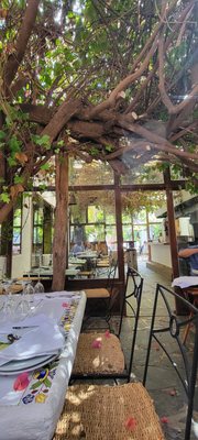 La Brasa de Ibiza by null