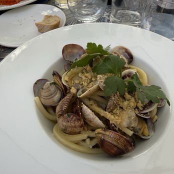Taverna Buonvicino - Italian Near Me - Amalfi, SA Taverna Buonvicino - Italian Near Me - Amalfi, SA