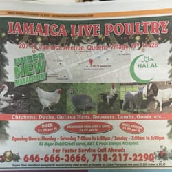 Mohamed Live Poultry - Jamaica poultry special for Christmas and new year