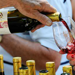 Frey Vineyards