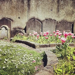 St. Kevin's Park - St Kevin's Park - Tulips & Grave Stones