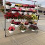 Photo of Gus Bock's Ace Hardware
