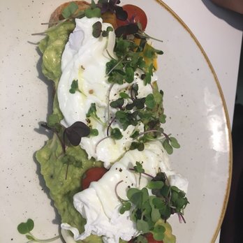Little Fern - Cafeteria Near Me - Barcelona, B Little Fern - Cafeteria Near Me - Barcelona, B