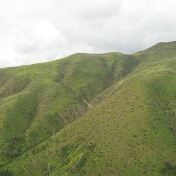 Solstice Canyon - Hillside view.  Wildflorwers all over. - Parks Near Me - Malibu, California