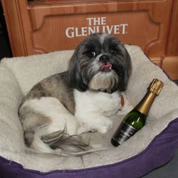 The Wine Gallery - Sookie, the champagne hoarder.