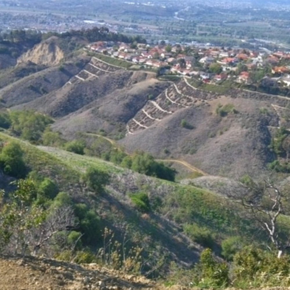 Sycamore Canyon Trail - looking down at sycamore cyn trail from above - Parks Near Me - Whittier, California Sycamore Canyon Trail - looking down at sycamore cyn trail from above - Parks Near Me - Whittier, California