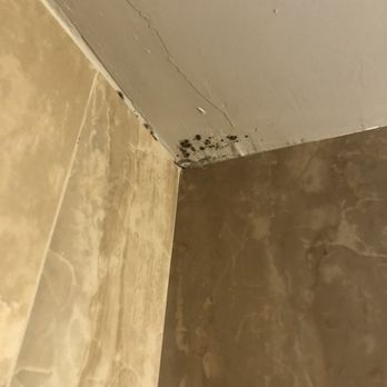 Premier Management - Mold building up from the ceiling bathroom - Property Management Near Me - El Cajon, California Premier Management - Mold building up from the ceiling bathroom - Property Management Near Me - El Cajon, California