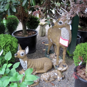 Flower World - Nurseries & Gardening Near Me - Snohomish, Washington Flower World - Nurseries & Gardening Near Me - Snohomish, Washington
