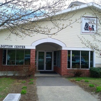 New Hampshire SPCA - Animal Shelters Near Me - Stratham, New Hampshire New Hampshire SPCA - Animal Shelters Near Me - Stratham, New Hampshire