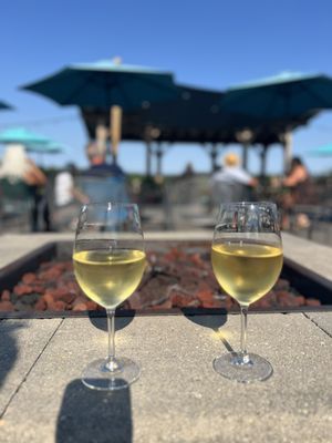 Fox Hollow Vineyards by null