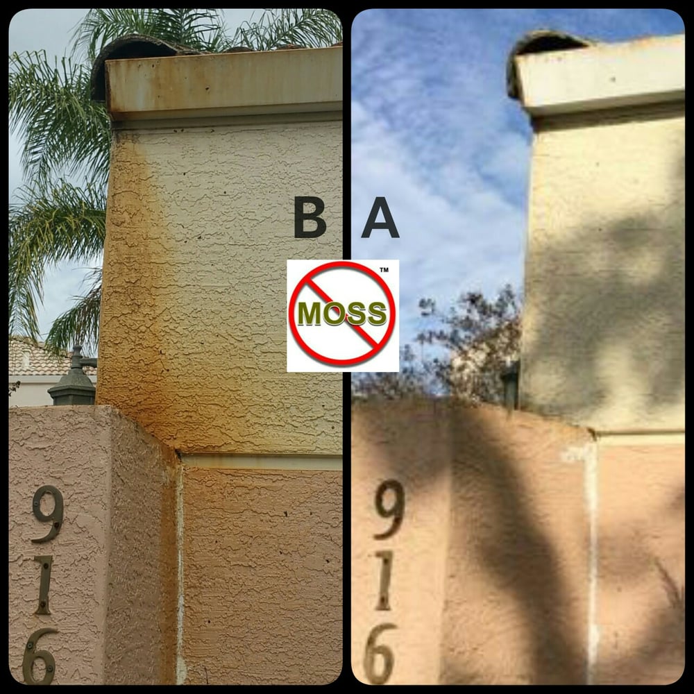 Slide of No Moss SoftWash