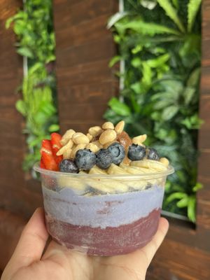 Amazonia Bowl by null