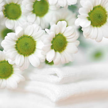 C&R Quality Cleaners - Dry Cleaning Near Me - Lafayette, Louisiana C&R Quality Cleaners - Dry Cleaning Near Me - Lafayette, Louisiana