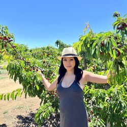 Kelsey Cherry Pickin' Farm
