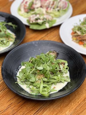 Oak + Violet by null