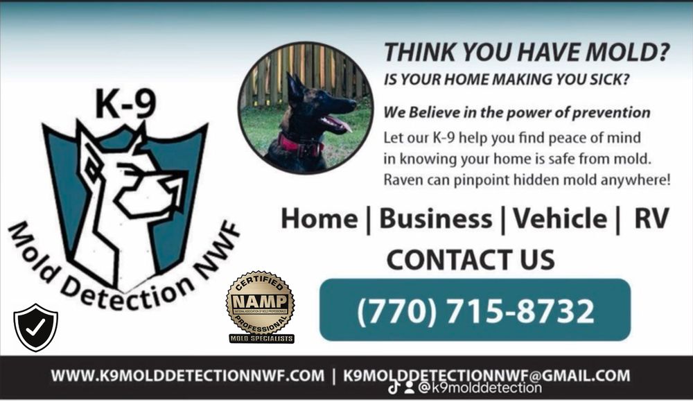 K-9 Mold Detection - mold inspector in Santa Rosa Beach, FL