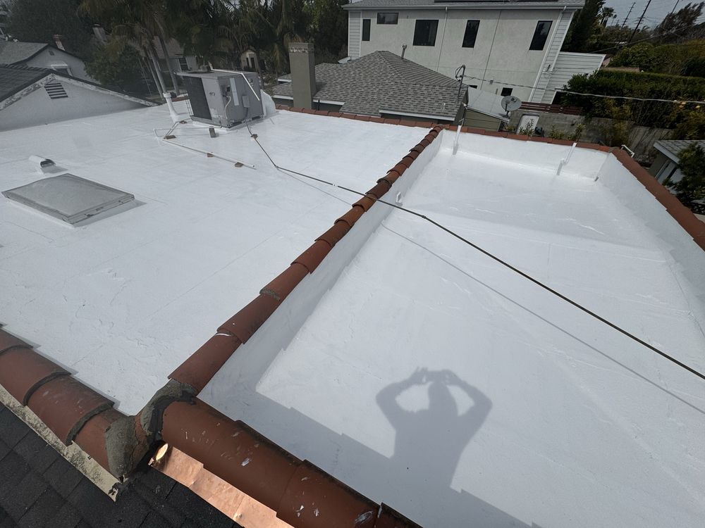 Slide of Eco Systems