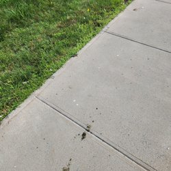 YO1 Longevity & Health Resorts - The walkways into the building, full of geese poop.