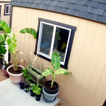 Fast Evictions - 9/18/2019: My two Tuff Sheds will house my tropical fruit trees during the winter season. - Professional Services Near Me - Placerville, California Fast Evictions - 9/18/2019: My two Tuff Sheds will house my tropical fruit trees during the winter season. - Professional Services Near Me - Placerville, California