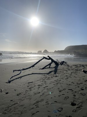 Lone Ranch Beach by null