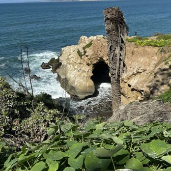 La Jolla Cove - Parks Near Me - La Jolla, California La Jolla Cove - Parks Near Me - La Jolla, California
