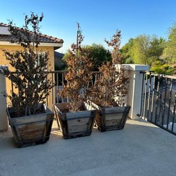 3 super heavy planters on our balcony that Chris hauled away. 3 super heavy planters on our balcony that Chris hauled away.