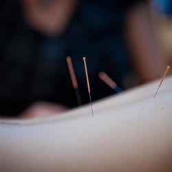 Clinique De Physiothérapie Médico-Sportive De Verdun - Photo