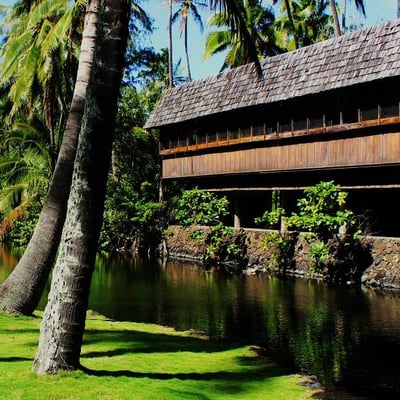 Coco Palms Resort by null