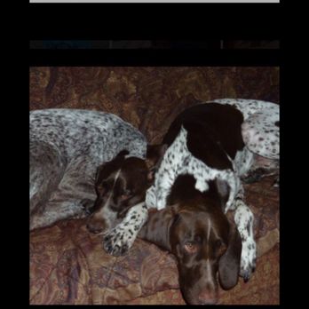 Sutton Animal Hospital - Veterinarians Near Me - New York, New York Sutton Animal Hospital - Veterinarians Near Me - New York, New York