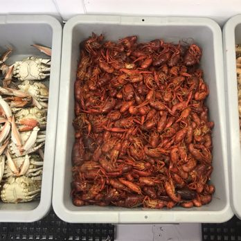 Muddy Water Seafood - three trays of shrimp and crab - Seafood Markets Near Me - Kenner, Louisiana Muddy Water Seafood - three trays of shrimp and crab - Seafood Markets Near Me - Kenner, Louisiana