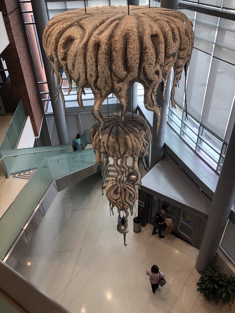 AUGUSTA UNIVERSITY COLLEGE OF DENTAL MEDICINE 17 Photos Colleges