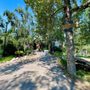 Photo of Prince's Island Park