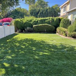 Carrillos Gardening Services