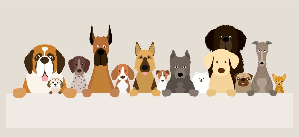 The Dog's Den - pet boarding facility in Stewartville, MN