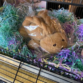 Great Harvest Bread - Baked Bunny Bread - Bakeries Near Me - Tempe, Arizona
