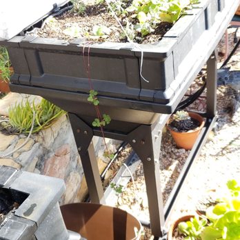 Sublime Gardens - a raised bed of lettuce and other plants - Landscaping Near Me Sublime Gardens - a raised bed of lettuce and other plants - Landscaping Near Me