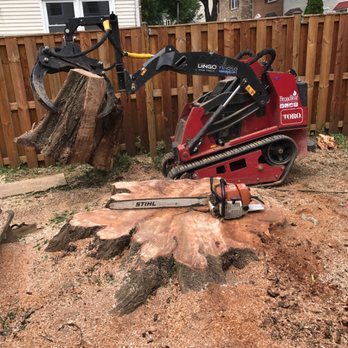 Broadleaf Grounds Works - Tree Services Near Me - Gaithersburg, Maryland