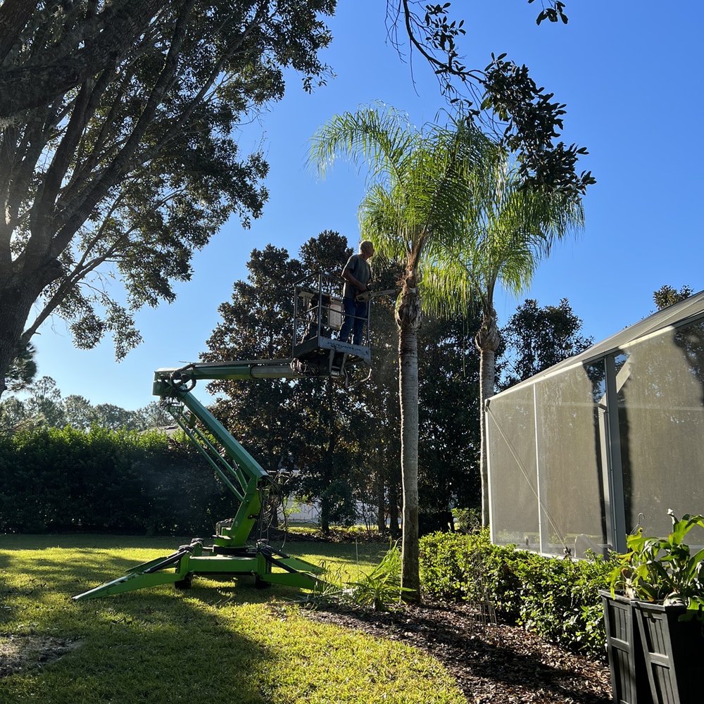 Southern Cuts Tree Service - Tree Services Near Me Southern Cuts Tree Service - Tree Services Near Me