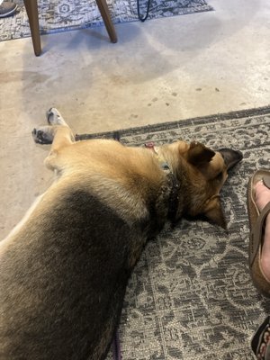 Pasoport Wine Company by null