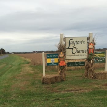Layton's Chance Vineyard & Winery - We found it! - Wineries Near Me - Vienna, Maryland Layton's Chance Vineyard & Winery - We found it! - Wineries Near Me - Vienna, Maryland