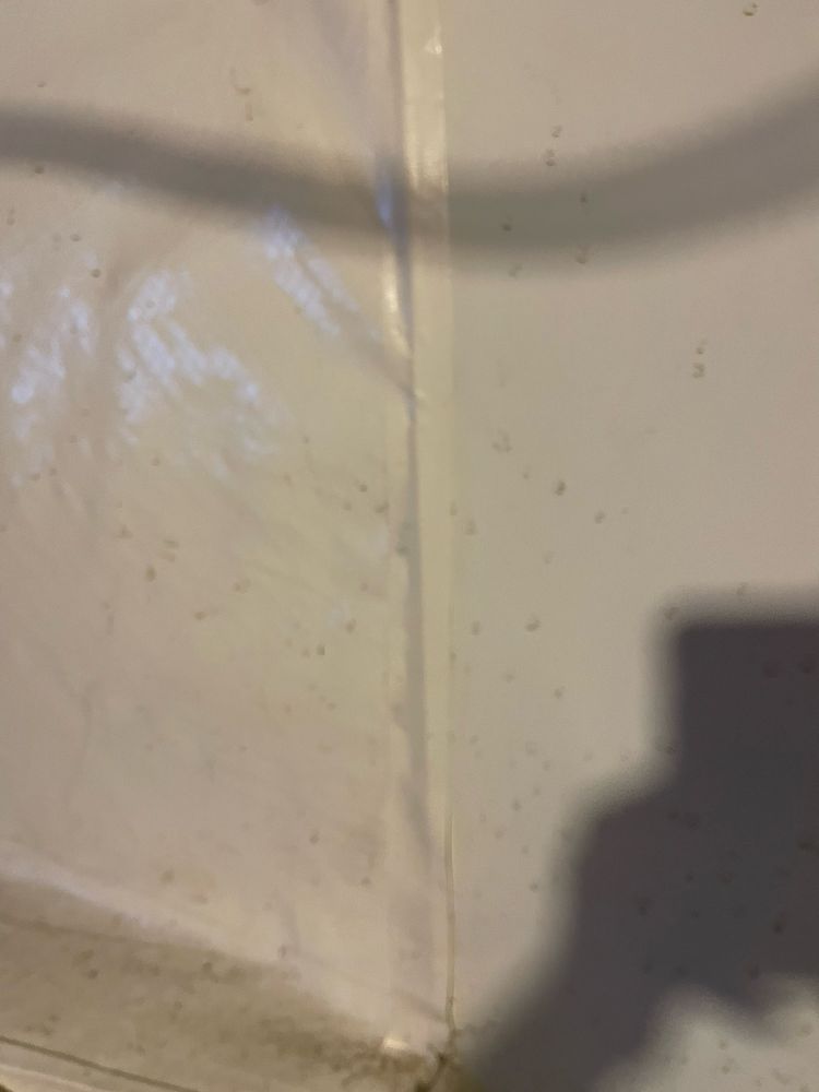 EVERDRY WATERPROOFING - Updated July 2026 - 10 Reviews - 2930 ...