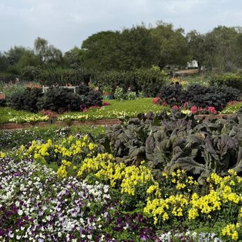 San Antonio Botanical Garden - Botanical Gardens Near Me - San Antonio, Texas