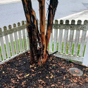HydroWash Heroes - Before with extreme black algae build up - Pressure Washers Near Me HydroWash Heroes - Before with extreme black algae build up - Pressure Washers Near Me